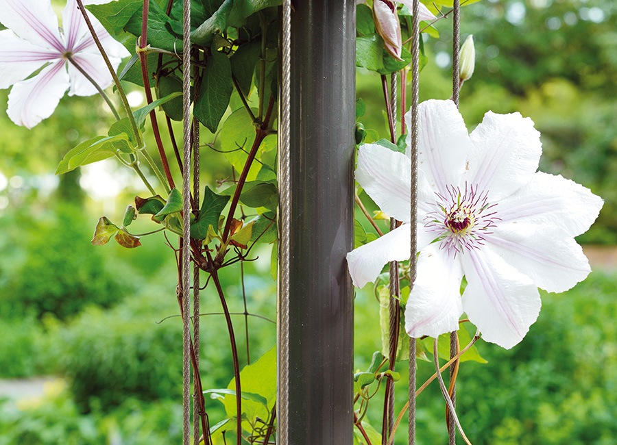 Mât pour plantes grimpantes BABYLONE conçu et fabriqué par Aréa mobilier urbain