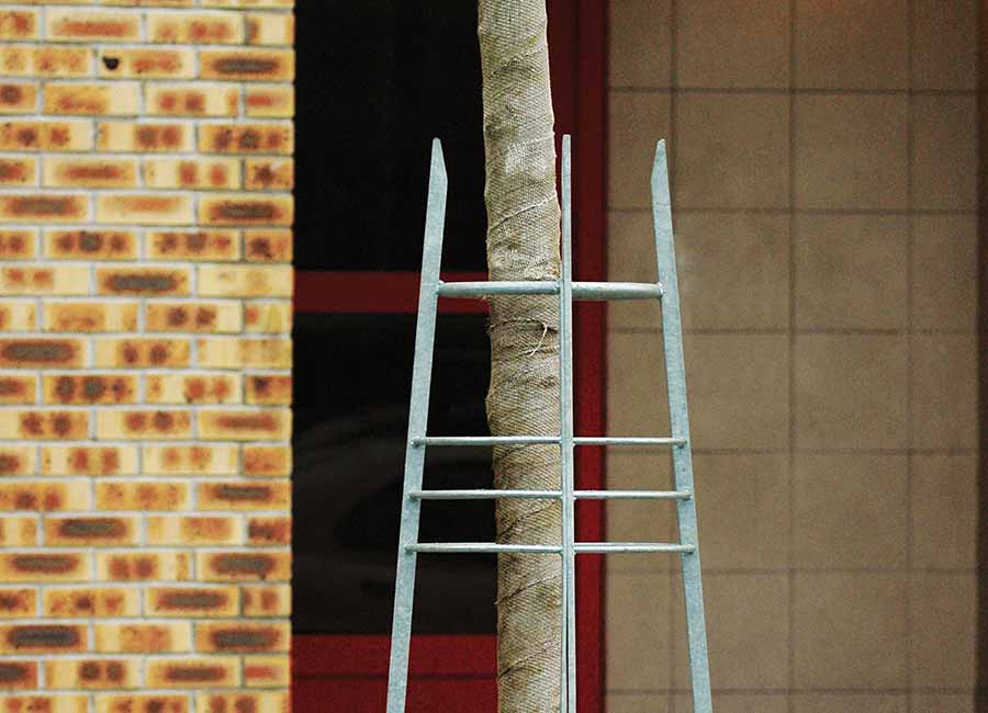 Corset et tuteur d'arbre BYZANCE conçu et fabriqué par Aréa mobilier urbain