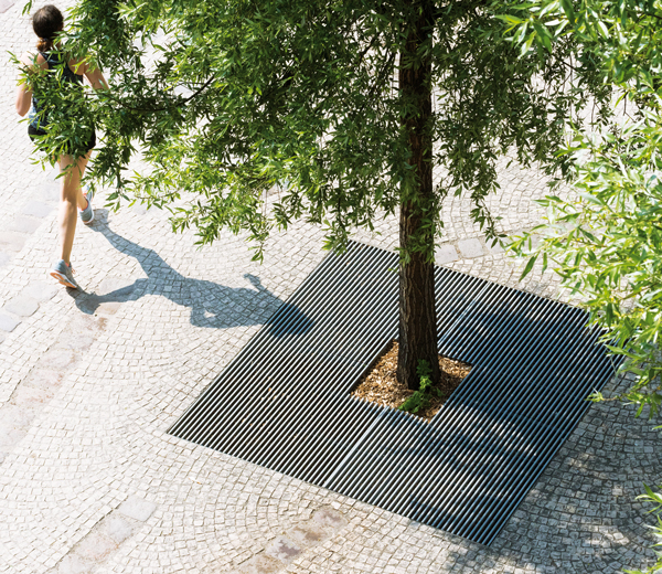 Area - Baumrost - Baltimore